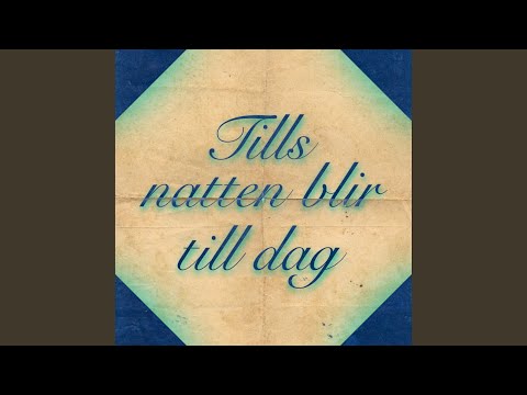 Tills natten blir till dag