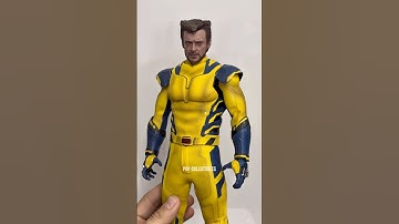 “MUSTARD WOLVERINE??” #hottoys #wolverine #hughjackman #deadpoolandwolverine #deadpool