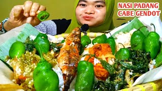 Download Lagu CABE GENDOT NASI PADANG GULAI DAUN SINGKONG MP3