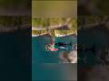 How to Merge Two Photos Naturally Using Auto Blend in Photoshop 2026 #shorts