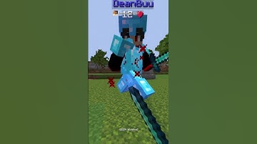 Stray PvP | 1v1 In Sword With LT3