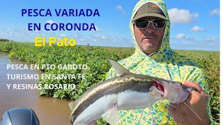 PESCAMOS EN CORONDA Y EN PUERTO GABOTO, TURISMO EN SANTA FE Y RESINAS ROSARIO - EL PATO TV 1239