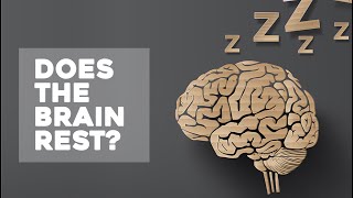Does the Brain Rest While Asleep? Brain Surgeon Dr Rahul Jandial on Sleep and Dreams