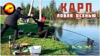 Carp fishing in the fall / Fishing overnight on carp / Carp fishing method / Autumn carp in Yeganovo