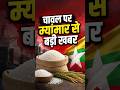 चावल पर म्यांमार से बड़ी खबर #myanmar #shorts