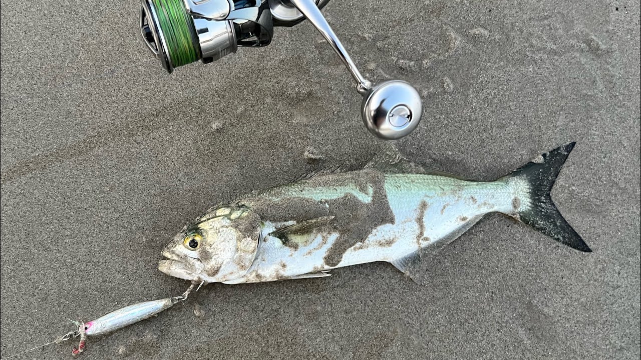 Catch fish after fish with this lure fishing Jervis Bay Shore Jigging YouTube