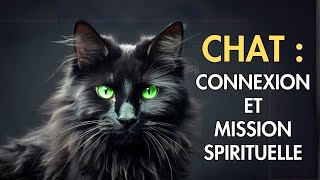 La mission SPIRITUELLE des CHATS | Pourquoi les chats entrentils dans ta vie ?