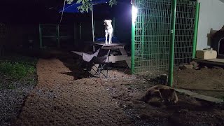 금요일 밤..밤을 잊은 그대에게..가임기 별이, 봄이 견사 분리 배치