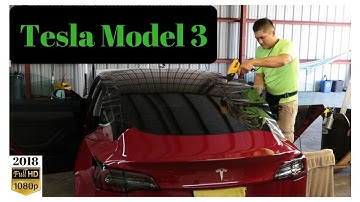 Tesla Model 3 Back Window