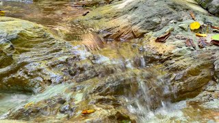 The sounds of a relaxing stream without music and birdsong