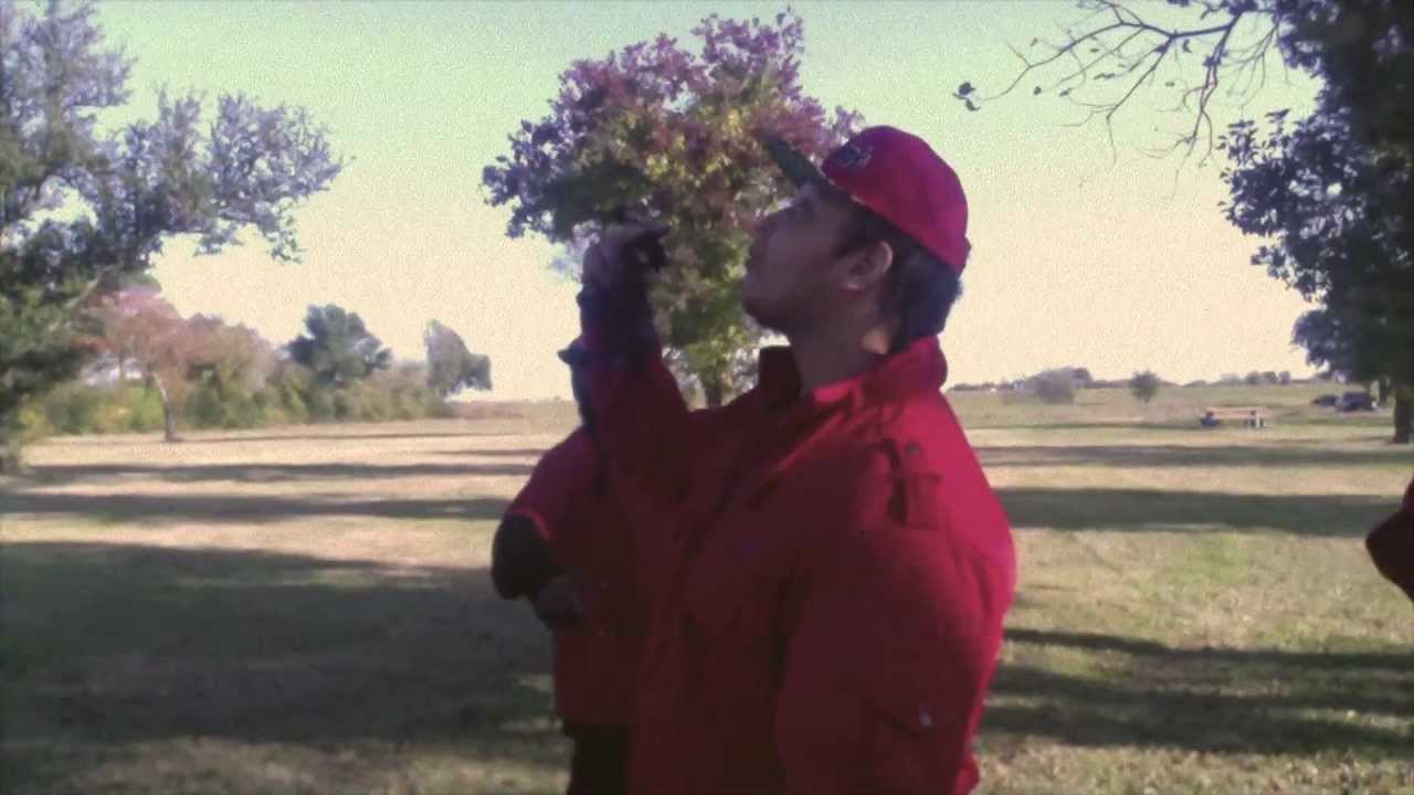 Younge' Dre Tha HitmanThe Mothership (Big Bro Said So) International