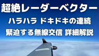 Single Japanese Pilot - I had my first experience in my pilot life on approach to Kobe Airport...