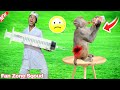 Funniest Fun Amazing videos must Entertainment comedy 2026🤣Try To Not Laugh Episode 13