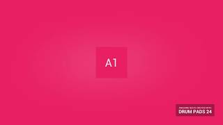 Real Freedom Inter Loop