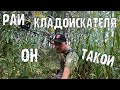 Рай кладоискателя, вот он какой. Коп 2019. Эквинокс 800.