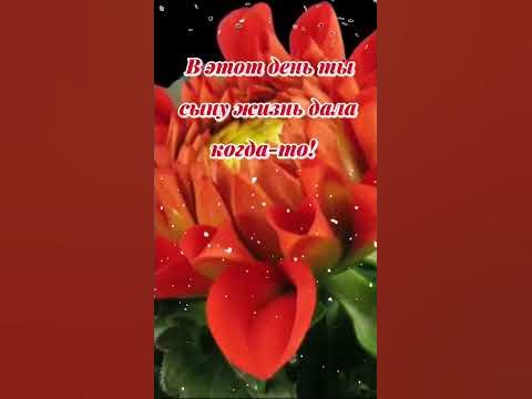 Поздравляем с днём рождения сына! #поздравление #открытка # ...