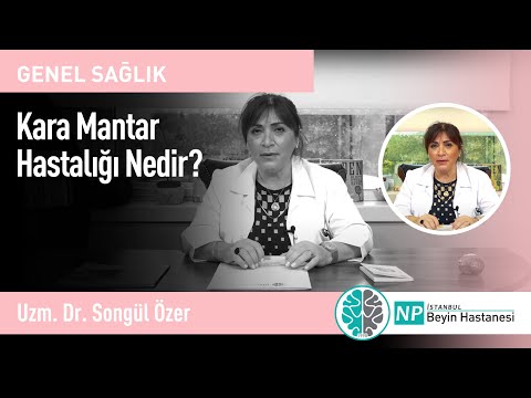 Video: Kara İs Mantarı Nedir: İs Mantarı Kontrolü Hakkında Bilgi Edinin