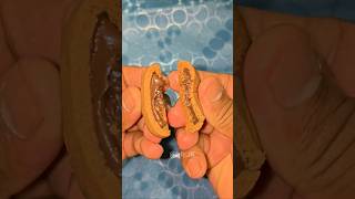 Britannia Pure Magic Choco Fills | 🍪✨#chocolate #testy #shortvideo #vairal #trending