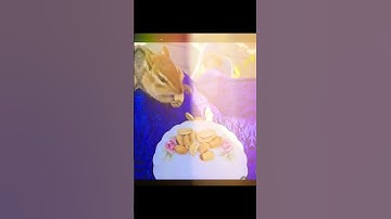 Thumbnail of I am sad 😔