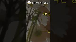 눈 치유 2주의 기적 #체력 #건강 #노안 #눈건강 #정신 #책소개 #시력 #노화 #명언 #치유