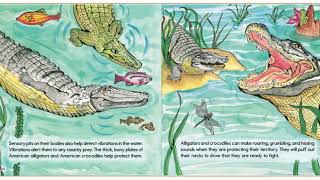 Alligators and crocodiles Read aloud