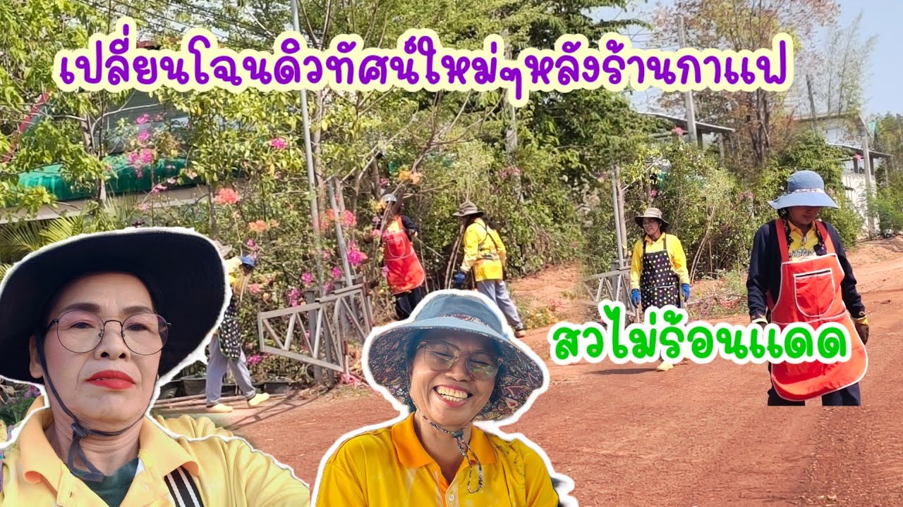 ปรับเฟื่องฟ้าหลังร้านกาแฟให้ดูสวยงาม