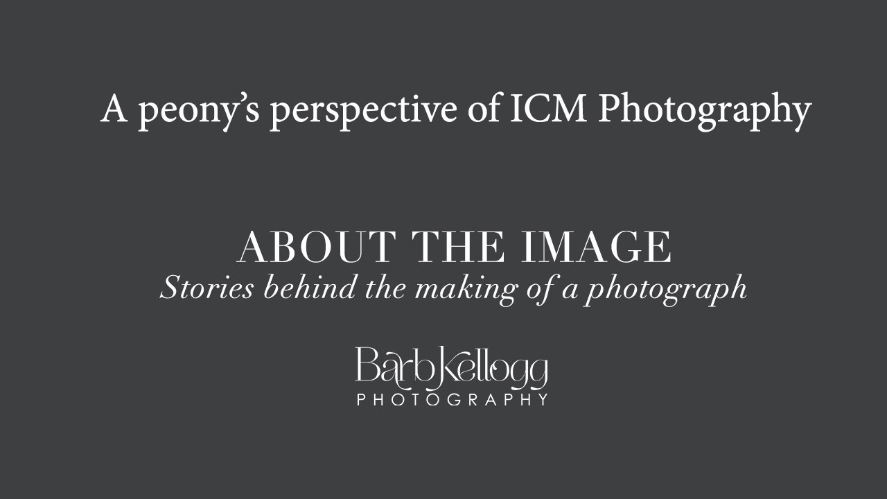 BEHIND THE SCENES :  A peony's eye view of ICM photography