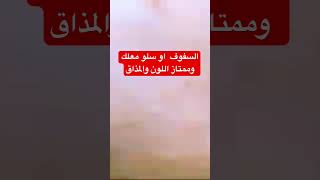 سلو او السفوف  روعة معلك وممتاز