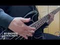 SO EXCITED!/SHAKALABBITS Bass Cover