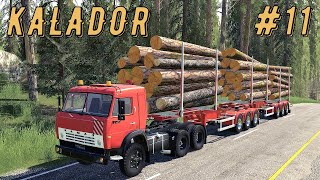 FS 19 - КАМАЗ Лесовоз.  Лесовоз лёг набок.  Пилю лес - KALADOR фермер лесоруб # 11