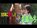 世界の競馬ファンが泣いた。2025年に死亡した世界的名馬たちまとめ