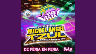Video thumbnail of "Miguel Angel Tzul y su Marimba Orquesta - Pegaditas 2: Sorbito de Champagne / Lloro Mi Corazón / Nuestro Anillito / Cariñito Sin Mi /..."