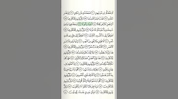#islam #islamic #quran #foryou #fypシ سوره المرسلات بصوت الشيخ عبد الرحمن السديس الجزء الثاني