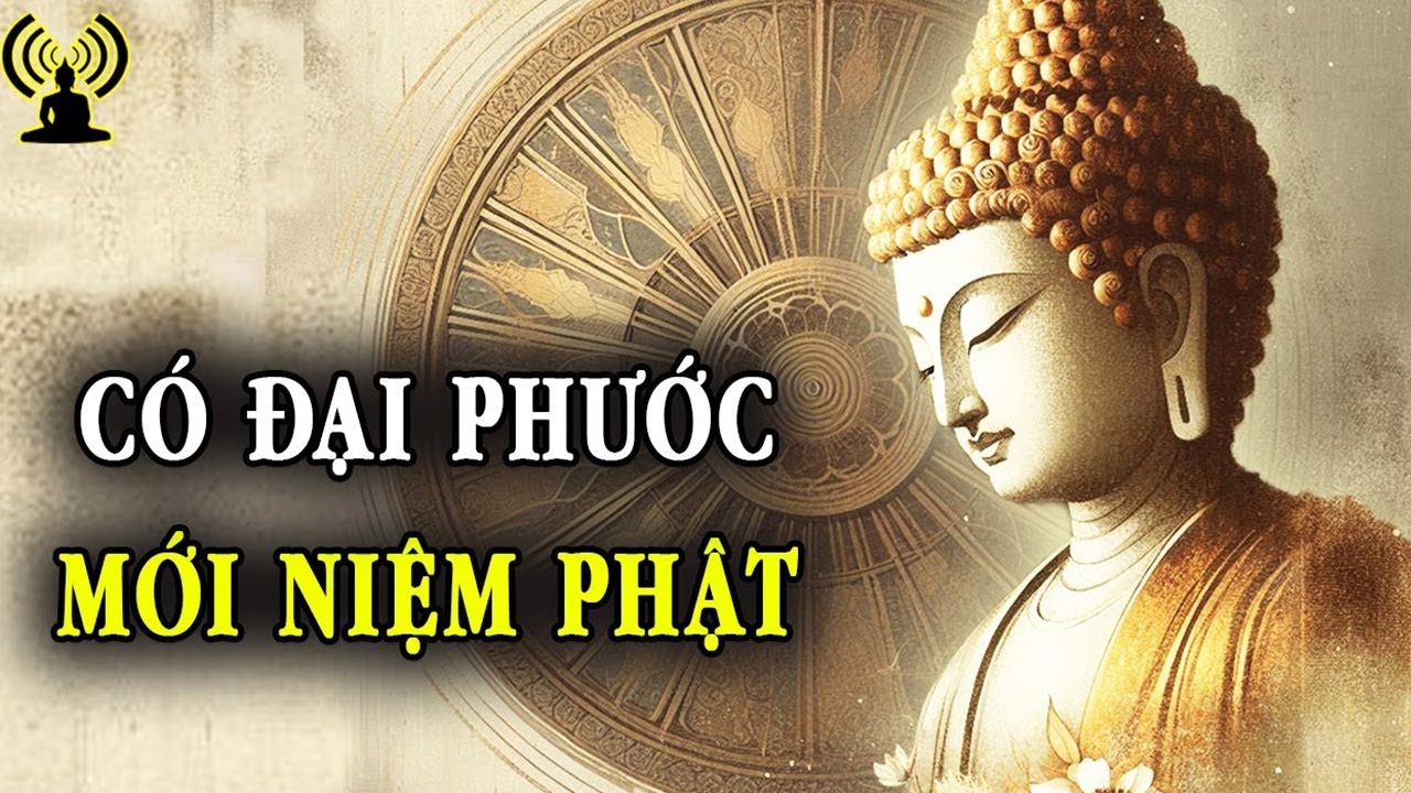 Hữu Đại Phước Đức Mới Niệm Phật. Niệm A Di Đà - Vi Diệu Pháp