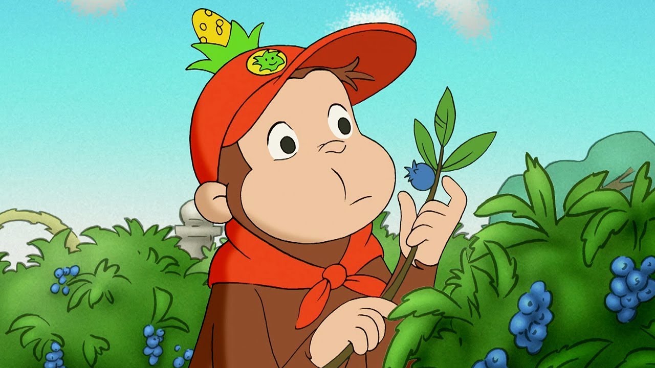 Nicke Nyfiken 🐵 Nickes Första Scoututflykt 🐵 Tecknad Film för Barn 🐵 Helt Avsnitt Nicke Nyfiken 🐵 Nickes Första Scoututflykt 🐵 Tecknad Film för Barn 🐵 Helt Avsnitt #1
