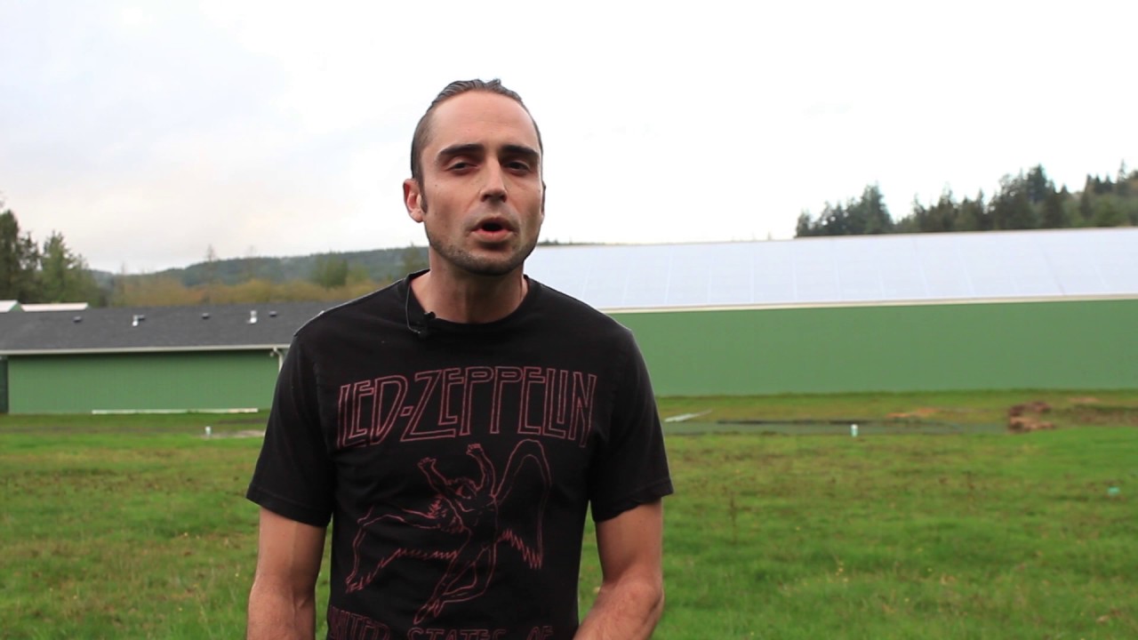 BTY OG | From the Soil - Flower Hour