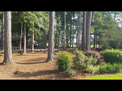 111 Wateree Drive, Santee, SC home video tour