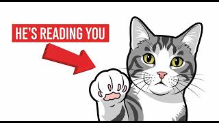 If Your Cat Touches You While Sleeping, DO THIS Science Explained