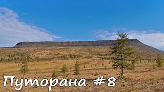 Путешествие через плато Путорана #8. &quot;Херомошка&quot;. Пер &quot;Двух каякеров&quot;. р Себяка. Медведь.Оз.Себяка.