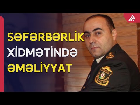 Video: Təhlil: Heyrətamiz Mauris və Onun Təhsilli Gəmiriciləri