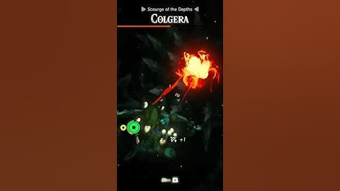 DID YOU KNOW THAT FIRE ARROWS BURN COLGERA’S  SPIKES? #colgera #tearsofthekingdom #totk  #zelda