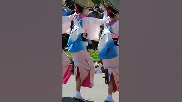 Thumbnail of Japanese traditional dance Awa odori. #shorts