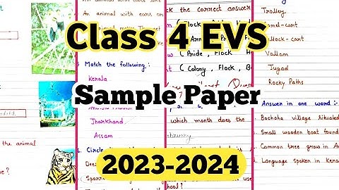 Class 4 EVS Question paper 2023|Class 4 EVS | KV/Kvs/Kendriya Vidyalay @PeehuandRudraCorner