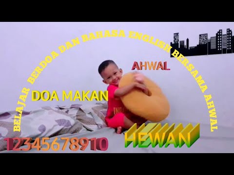 Belajar menghitung nama  hewan  dalam  bahasa  inggris  Ahwal 