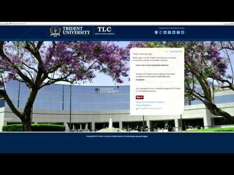 Trident University Student Training: Portal PHD Mar 2014