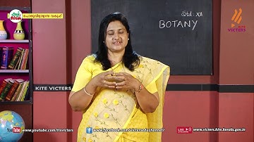KITE VICTERS Plus two Botany Class 16 (First Bell-ഫസ്റ്റ് ബെല്‍)