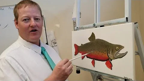 Watch Now:  Brady Nielson, artist of the month at ...