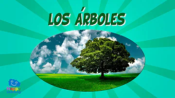 ¿Quién plantó todos los árboles del bosque?