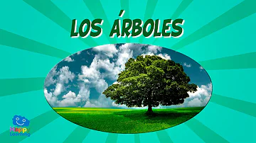 ¿Cuáles son las ventajas de los árboles 2/3 para la búsqueda?