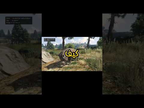 كيف تتحول لاي حيوان موجود في لعبه قراند    5   قراند